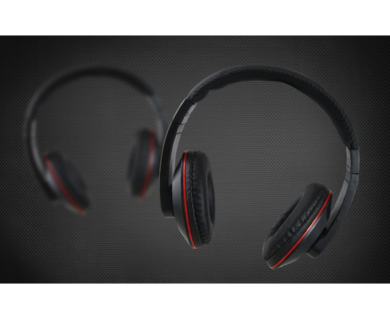 ESPERANZA Headphones EH121