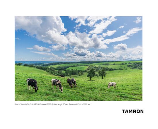 TAMRON 20mm f/2.8 Di III OSD Macro Sony E