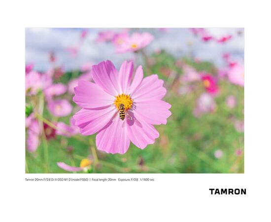 TAMRON 20mm f/2.8 Di III OSD Macro Sony E