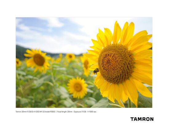 TAMRON 20mm f/2.8 Di III OSD Macro Sony E