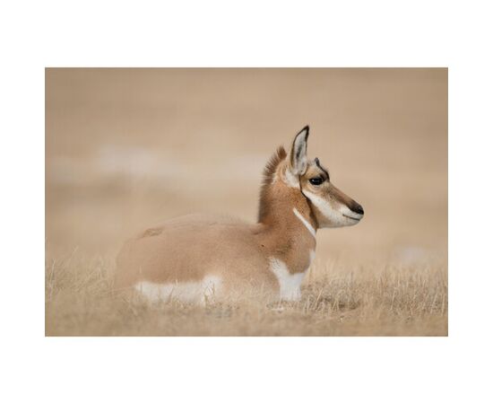 NIKON Z8 + 24-120mm f/4 S