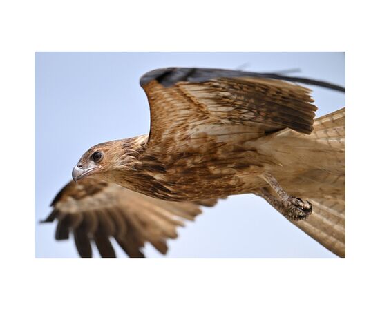 NIKON Z8 + 24-120mm f/4 S