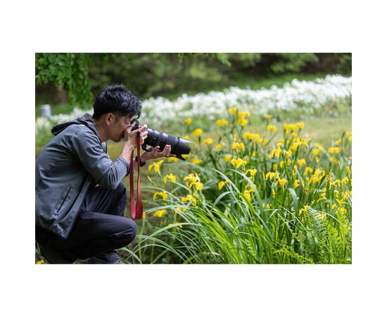 NIKON Nikkor Z 100-400m f/4.5-5.6 VR S