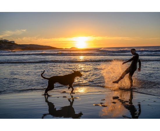 NIKON Nikkor Z 24-70mm f/2.8 S