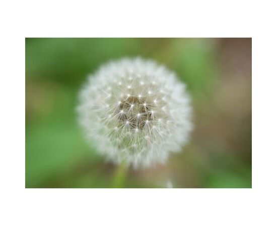 NIKON Nikkor Z 70-180mm f2.8