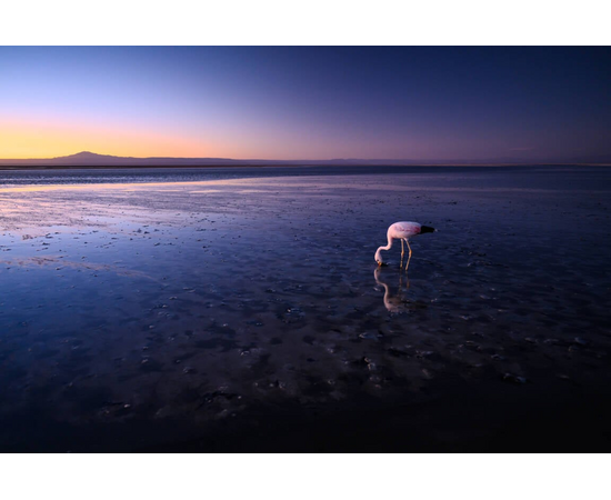 NIKON Nikkor Z 20mm f1.8 S