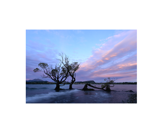 Nikkor Z 12-28mm f73.5-5.6 PZ VR