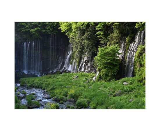 NIKON Nikkor Z 70-180mm f2.8