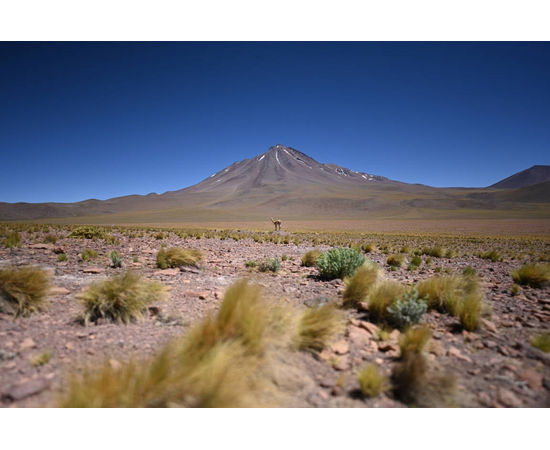 NIKON Nikkor Z 20mm f1.8 SNIKON Nikkor Z 20mm f1.8 S