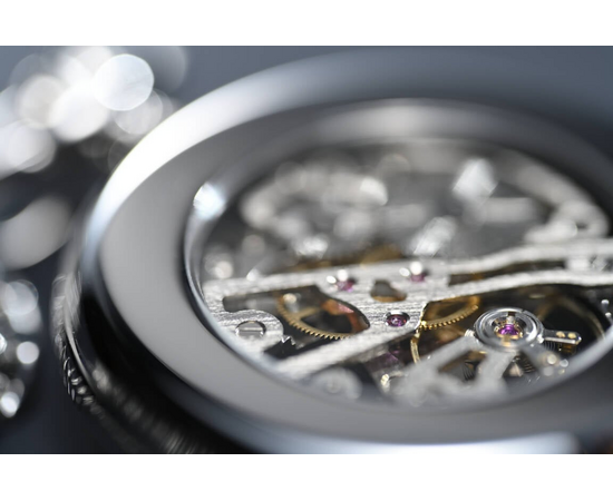 NIKON Nikkor Macro 105mm f/2.8 VR S