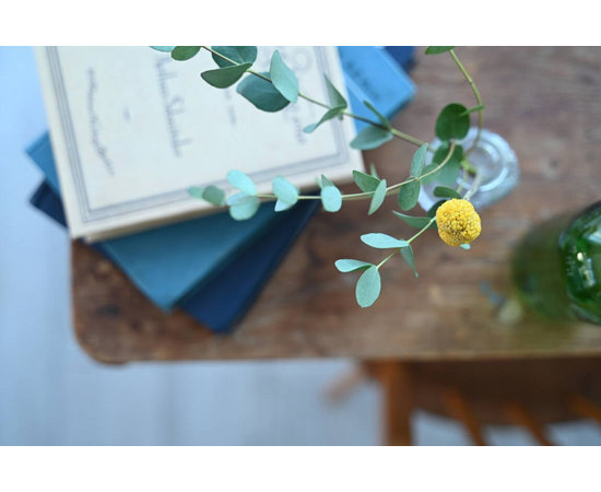 NIKON Nikkor Z 28-75mm f/2.8