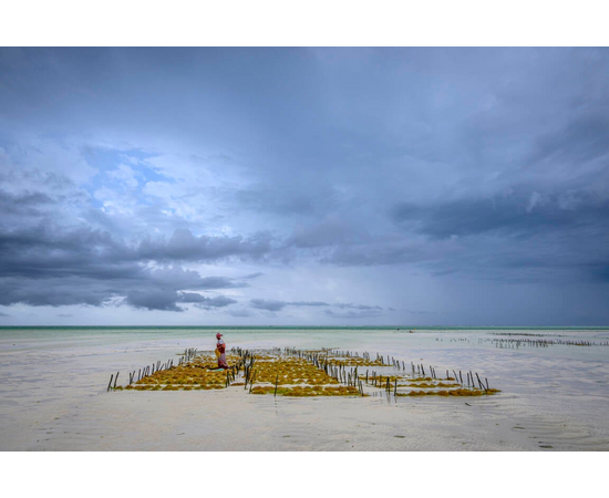 NIKON Nikkor Z 24-200mm f/4-6.3 VRNIKON Nikkor Z 24-200mm f/4-6.3 VRNIKON Nikkor Z 24-200mm f/4-6.3 VRNIKON Nikkor Z 24-200mm f/4-6.3 VRNIKON Nikkor Z 24-200mm f/4-6.3 VRNIKON Nikkor Z 24-200mm f/4-6.3 VRNIKON Nikkor Z 24-200mm f/4-6.3 VRNIKON Nikkor Z 24-200mm f/4-6.3 VR