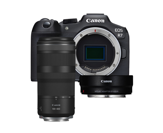 CANON EOS R7 + RF 100-400mm f/5.6-8 IS USM + Adadaptor Lente EF a Corpo EOS-R