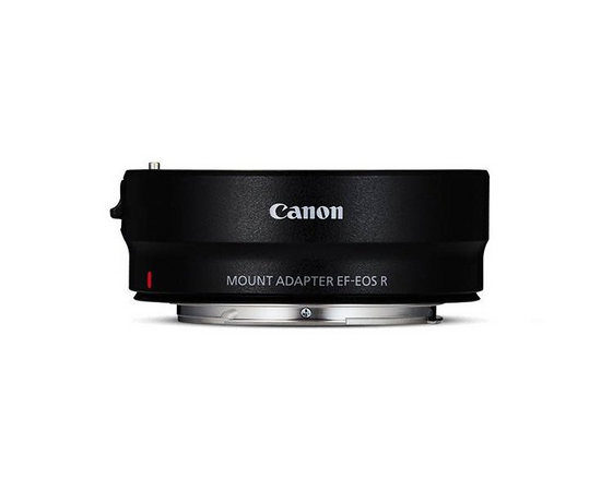 CANON EOS R7 + RF 100-400mm f/5.6-8 IS USM + Adadaptor Lente EF a Corpo EOS-R