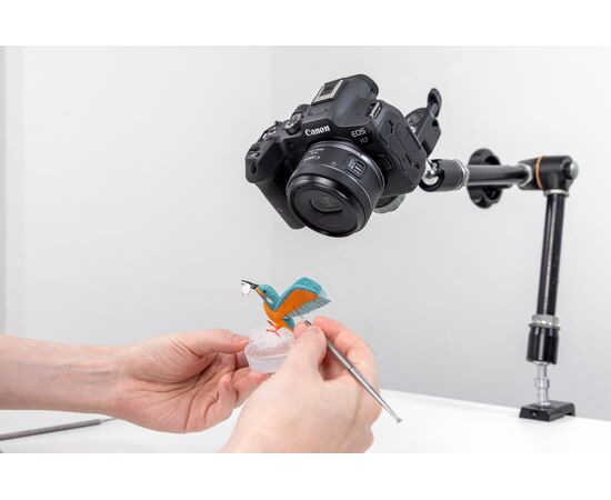 CANON RF-S 7.8mm f/4 STM DUAL