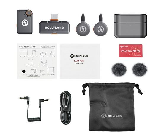 HOLLYLAND Lark M2s Mini Combo