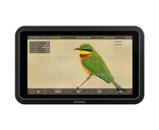 ATOMOS Shinobi II Monitor 5,2" HDMI HDR