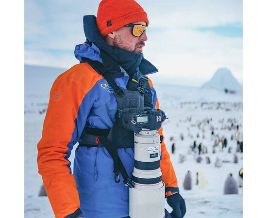 COTTON CARRIER Arnês de Torso com Suporte para Cameras