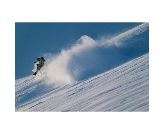 SIGMA 300-600mm f/4 DG OS Sports L-mount