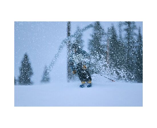 SIGMA 300-600mm f/4 DG OS Sports L-mount