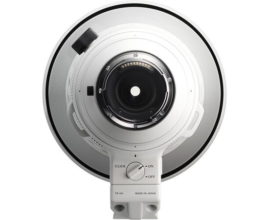 SIGMA 300-600mm f/4 DG OS Sports L-mount