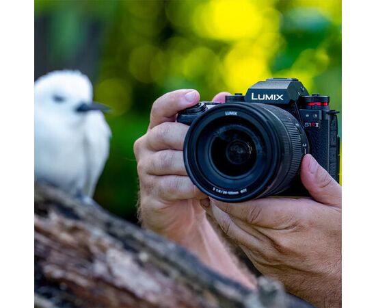PANASONIC LUMIX S1R II + S 24-105mm f/4 Macro O.I.S
PANASONIC LUMIX S1R II + S 24-105mm f/4 Macro O.I.S