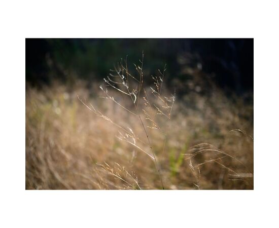 AF 25mm f/1.7 Air Nikon Z