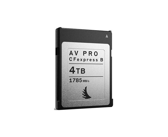 ANGELBIRD AV PRO Type B MK2 1785Mb/s - 4TB