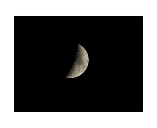 NIKON Coolpix P1100