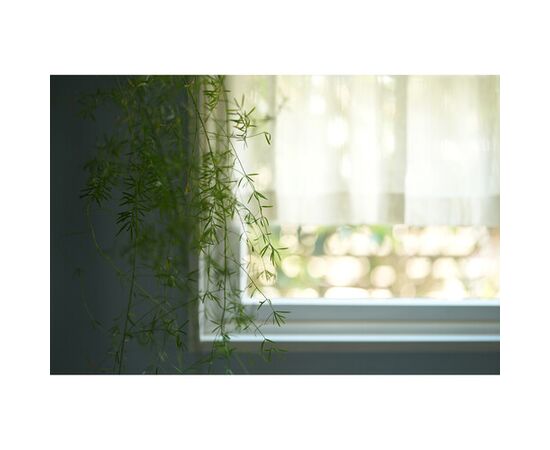 SONY FE 50mm f/1.4 GM