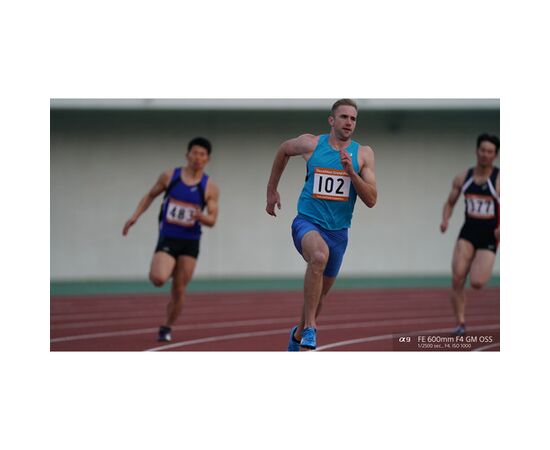 SONY FE 600mm f/4 GM OSS