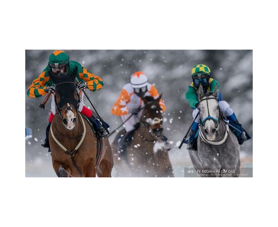 SONY FE 600mm f/4 GM OSS