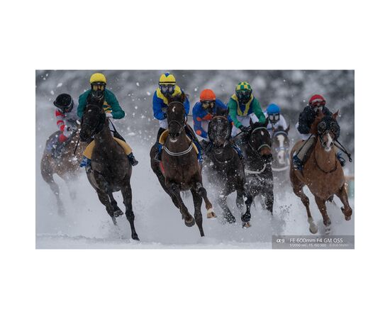 SONY FE 600mm f/4 GM OSS