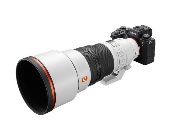 SONY FE 300m f/2.8 GM OSS