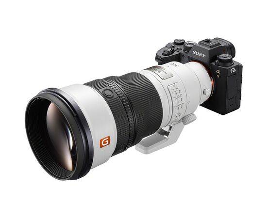 SONY FE 300m f/2.8 GM OSS