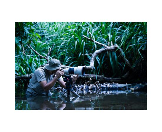 SONY FE 300m f/2.8 GM OSS