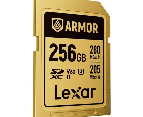 LEXAR SDXC ARMOR GOLD 280Mb/s Classe 10 V60 U3 UHS-II - 256GB
