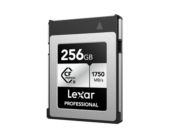 LEXAR Professional CFexpress Type B 1750Mb/s 256Gb