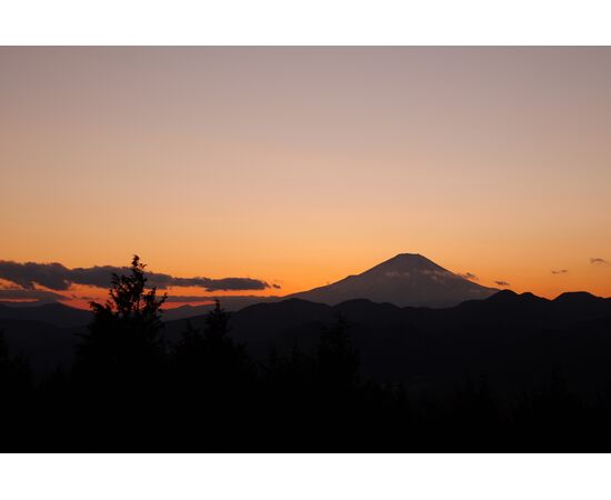 PANASONIC LUMIX S1 II - Corpo