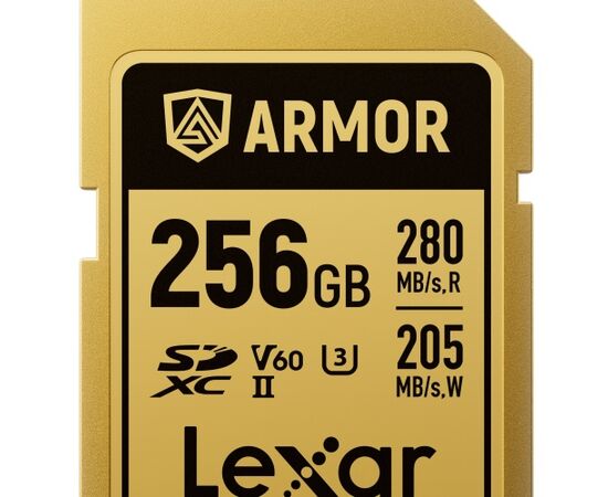 LEXAR SDXC ARMOR GOLD 280Mb/s Classe 10 V60 U3 UHS-II - 256GB