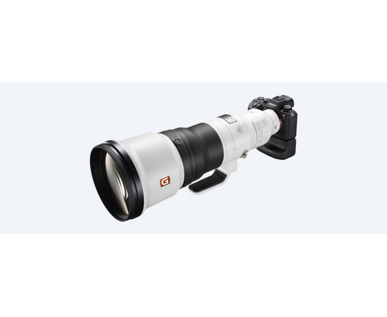 SONY FE 600mm f/4 GM OSS