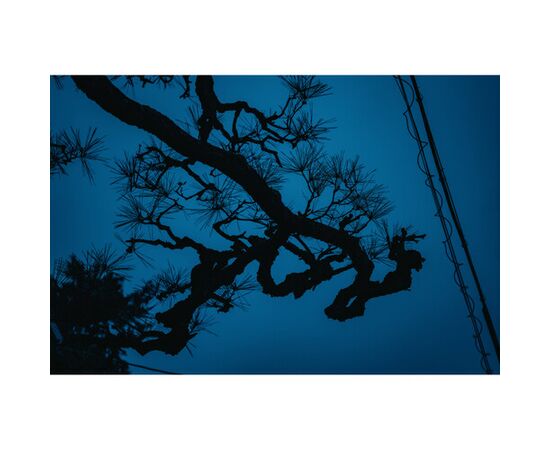 SIGMA 17-40mm f/1.8 DC Art L-Mount