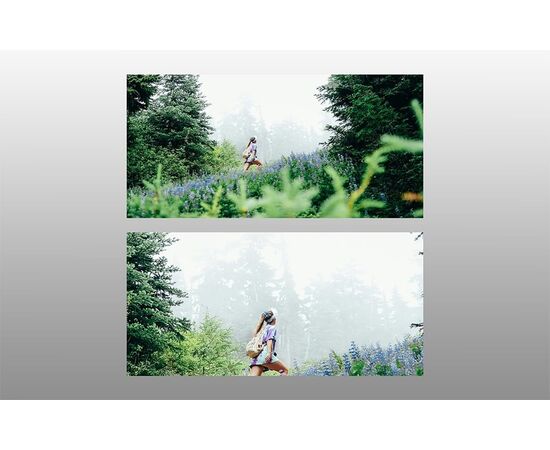 FREEWELL Lente Telefoto 1.5x para Fujifilm X100V/X100VI - Prata