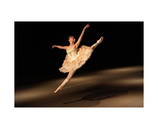 SONY FE 28-70mm f/2 GM