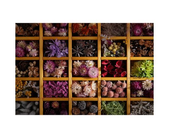 SONY FE 28-70mm f/2 GM