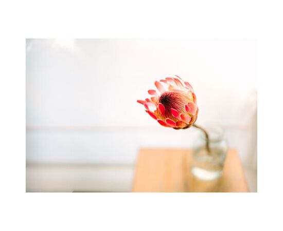 SIGMA 35mm f/1.2 DG II Art L-Mount