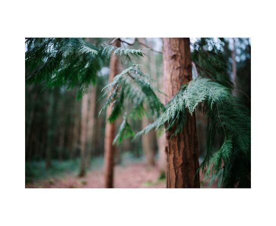 SIGMA 35mm f/1.2 DG II Art L-MountSIGMA 35mm f/1.2 DG II Art L-Mount