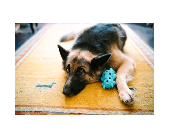 SIGMA 35mm f/1.2 DG II Art L-Mount