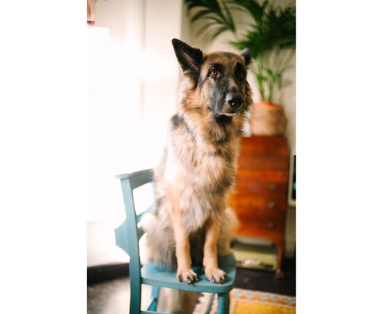 SIGMA 35mm f/1.2 DG II Art Sony-E