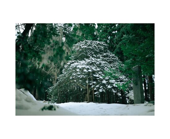 SIGMA 35mm f/1.2 DG II Art L-Mount